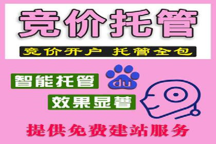 案例研究：SEM优化助力品牌知名度